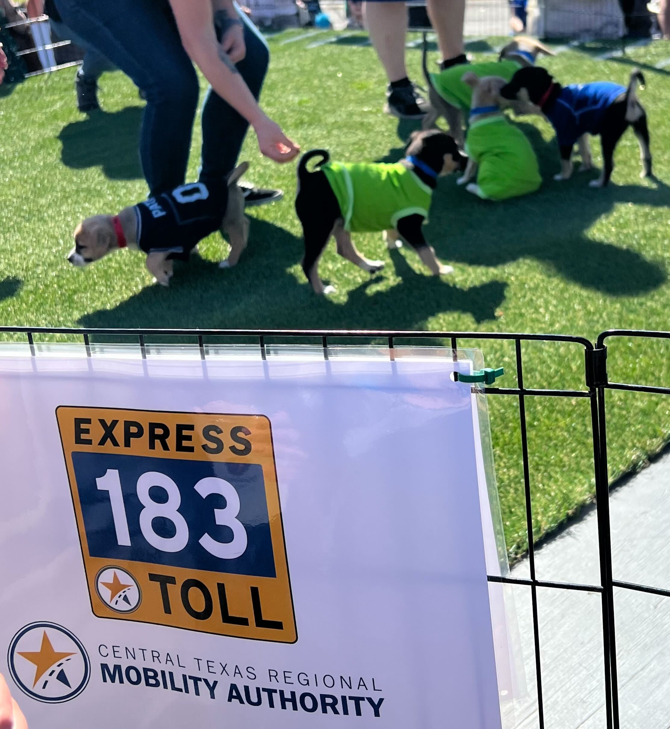 183 logo on a sign with puppies in the background